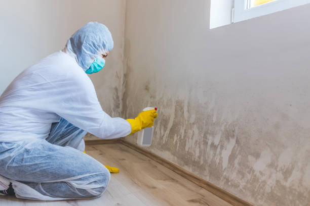 Mold inspector in Quantico performing thermal imaging